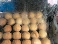 -龙丰楼包子(南方大厦店)