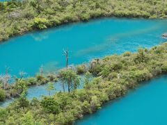 -九寨沟-树正沟
