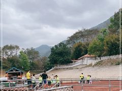 -广州市流溪河国家森林公园