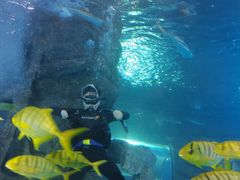 -太平洋海底世界