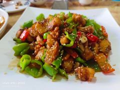 -煲来饱去冷水鱼