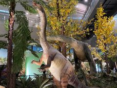 -湖南省地质博物馆