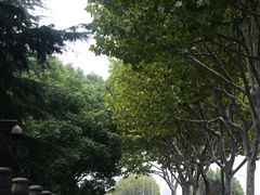 -东湖景区