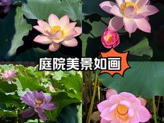 -莫催咖啡