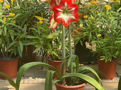 -北京植物园南门售票处