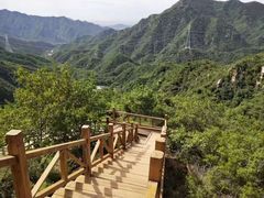 -大岭沟猕猴桃谷风景区