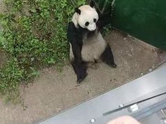 -沈阳森林动物园