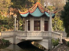 -叶家花园