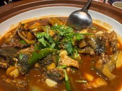 5年甲鱼拌饭-老海陵·泰州菜(图书馆店)