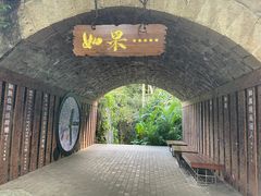 -亚龙湾热带天堂森林公园