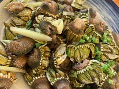 佛手螺-胖大嫂渔家排档·全海景餐厅(渔村店)