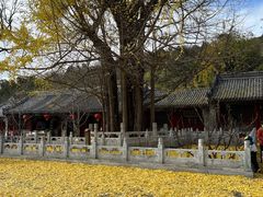 -潭柘寺景区
