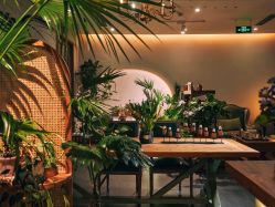 -芳香乐府疗愈空间·SPA·冥想