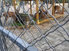 -长白岛森林公园