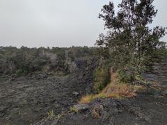 -夏威夷火山国家公园