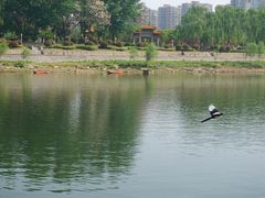 -沙澧河风景区