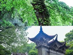-瑶琳仙境