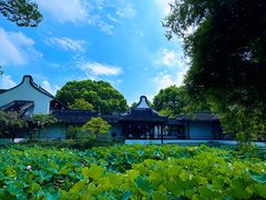 -上海醉白池公园