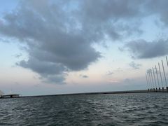 -碧海金沙