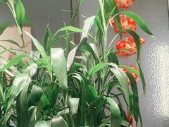 -忆家一宴(大木桥路旗舰店)