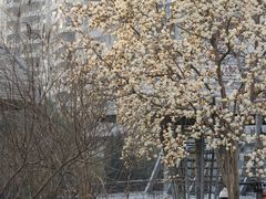 -西湖文化广场
