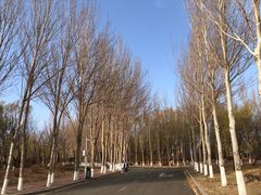 -吉林大学(前卫南区)