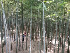 -陶祖圣境风景区