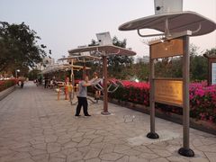 -金鸡岭桥头公园
