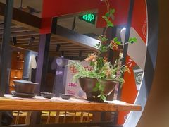 -呷哺呷哺 黄金牧场 (欢乐谷店)