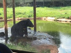 -海南热带野生动植物园