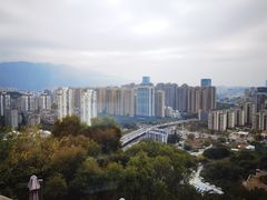 -金鸡山公园