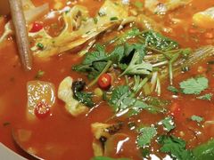 -魏铭鱼头捞饭(晋阳路店)