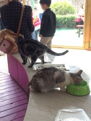 -萌宠亲子动物乐园(槐房万达店)