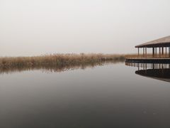 -白洋淀景区