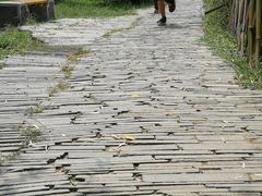 -贵阳市花溪国家城市湿地公园