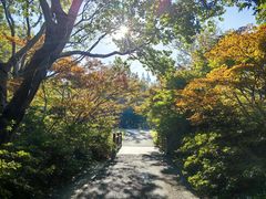 -上海滨江森林公园