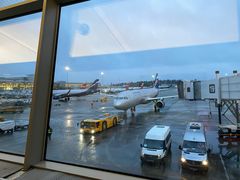 -谢列梅捷沃国际机场