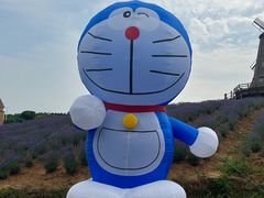 -大塘金香草谷