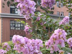 -南开大学(八里台校区)