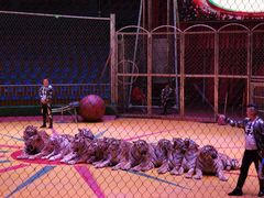 -西安秦岭野生动物园