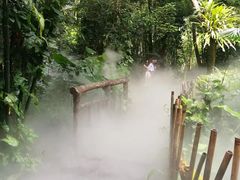 -呀诺达热带雨林