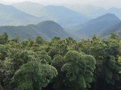 -莫干山风景区