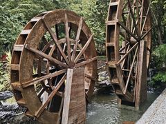 -广州白江湖森林公园