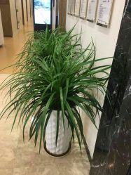 -北京米扬丽格医疗美容·联合丽格鼻整形中心