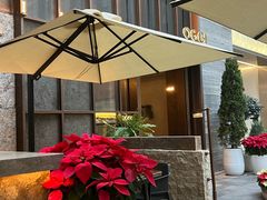 -OGGI TRATTORIA PIZZERIA(深业上城店)