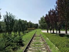 -永定河休闲森林公园