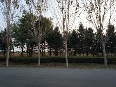 -蒲河岛湿地公园