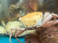 -阳光码头海鲜火锅(玉立路店)