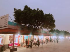 -大湾区中央湿地公园-十九涌