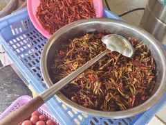 -山人野生菌餐厅